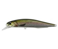 Duo Realis Jerkbait 100SP Pike CCC3836 Rainbow Trout ND