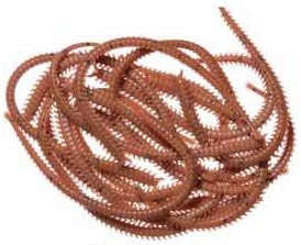 Marukyu Isome IS02 XL (Brown sandworm) нереис 18470099 фото 