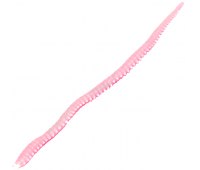 Лиманские черви Marukyu Power Sakura Isome (Glow Pink) XL нереис 11 см (8 шт)