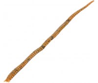 Лиманские черви Marukyu Power Sakura Isome (Brown) XL нереис 11 см (8 шт)